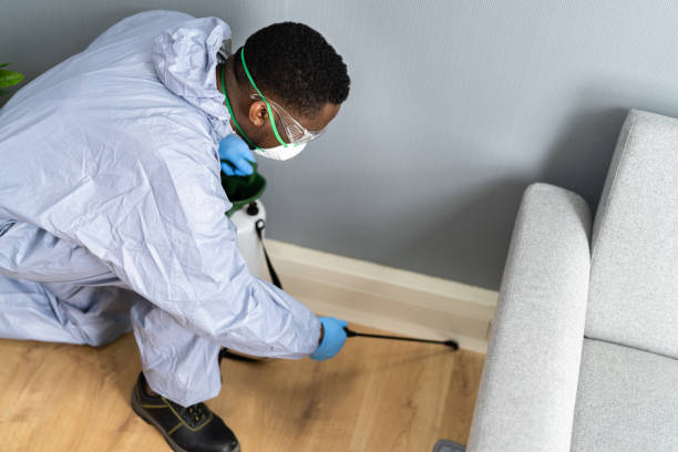 Professional Pest Control in Raleigh, NC